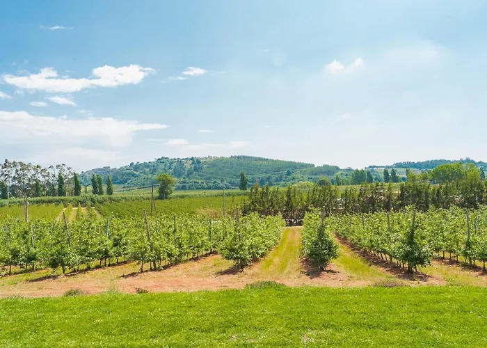 Alojamento de Turismo Rural Monte Da Várzea Da Rainha *